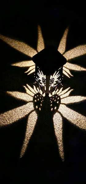 Solar Sunflower with Dragon Flies