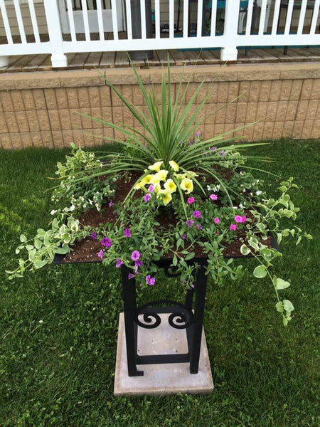 Flower Planter (Multiple Variants)